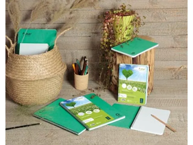 FOREVER spiraalschrift A4 90g geruit groen