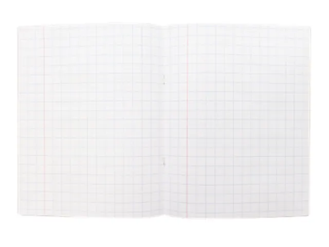 Schrift Kangaro A5 ruit 10mm 80pagina's 60gram 10 stuks assorti