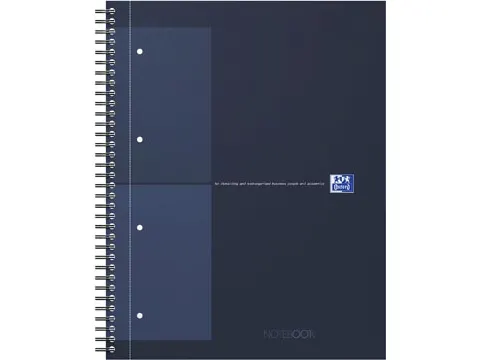International Notebook 160 blz A4+ geruit blauw