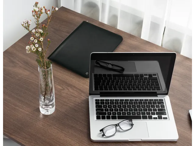 Conférentier Desq Cuir