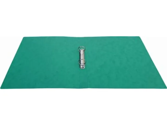 ringmap A4 uit glanskarton 2 ringen 25 mm groen