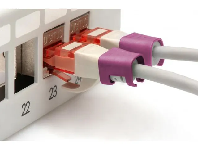 Kleurclips Voor Patchkabels RJ45-stekkers Magenta 100 Stuks