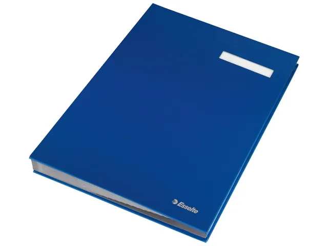 Vloeiboek Esselte 6210 karton 20 vakken blauw