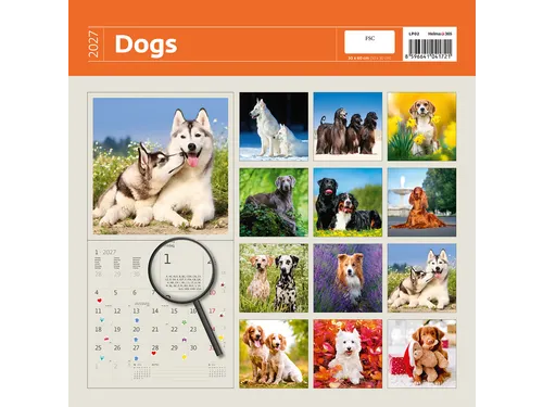 Kalender 2027 Helma 365 30x30cm honden
