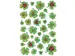Sticker Etiket Herma 5438 Klavertje Vier 93 stuks
