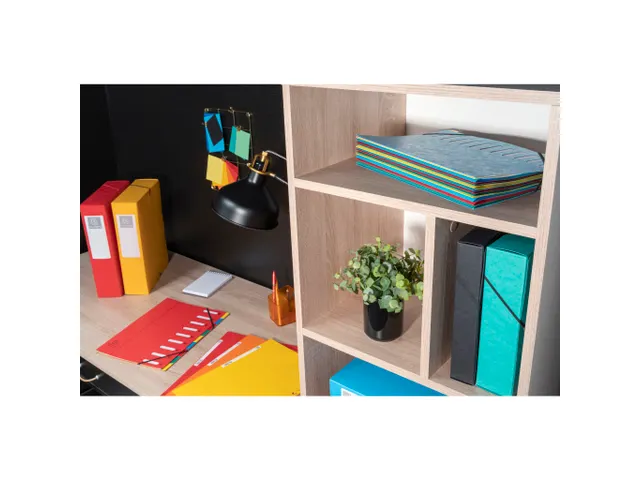 Sorteermap Harmonika vensters 6 vak rood