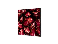 Wanddecoratie Textiel Set 40x40cm Cactus Rood