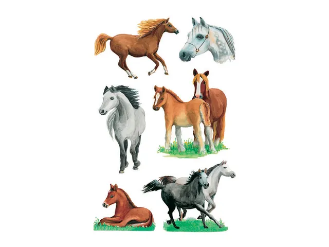 Sticker Etiket Herma 3553 Paarden 18 stickers