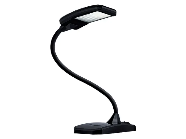 Lampe de bureau LED Hanza Twist noir