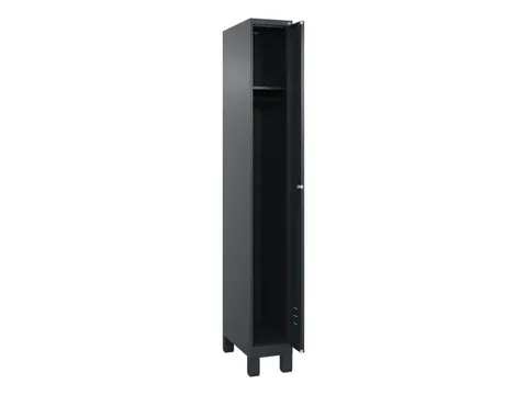 locker,HxBxD 1950x250x500mm,1vak,vak B 250mm,cil.-slot,voeten