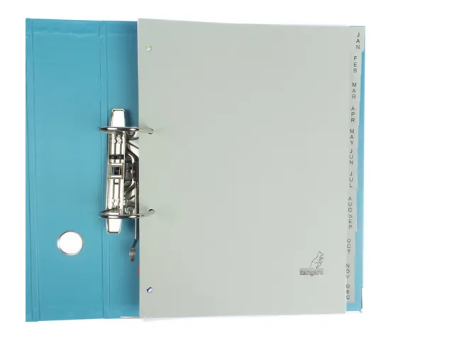 Tabblad ECO Kangaro A4 letters 180 grams grijs karton 4-gaats 12-delig
