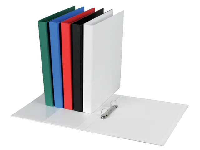 Ringband Quantore 2-Rings A4-20Mm Pp D-Mech Wit