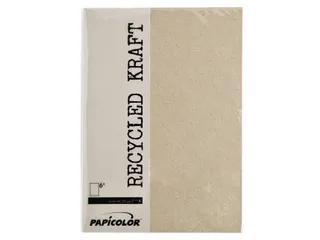 Kopieerpapier Papicolor A4 100gr 12 vel kraft grijs - 2