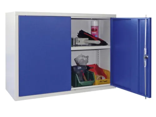 Hangkast 600x800x300mm 1 Verstelbaar Legbord Ral 7035 Front Ral 5010