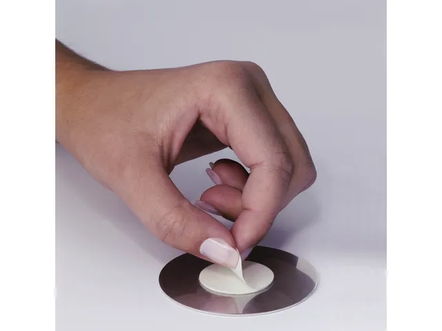 Pictogram Pico Symbool WC Dames RVS