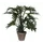 Kunstplant Mica Philodendron selloum groen in pot 50x60cm