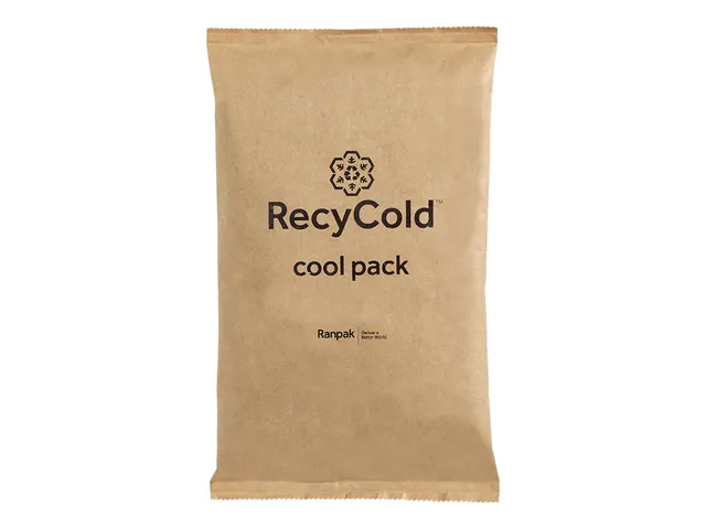 RecyCold Cool Pack Kraft/PE Koelelement 500 gram 240×150×35mm