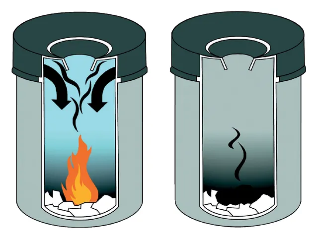 Afvalbak + Vlamdover Safe Rond 60 Liter Zwart