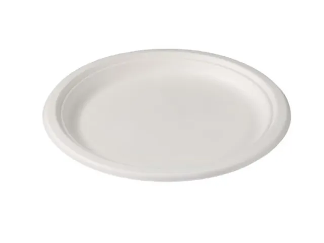 Bord Rond 1-vaks Bagasse 23cm Wit doos 500 Stuks