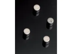 Glasbordmagneet 4x Staal Vorm Cylinder