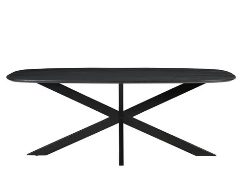 Vergadertafel Harper Deens Ovaal 300x100cm Zwart blad met Spinpoot