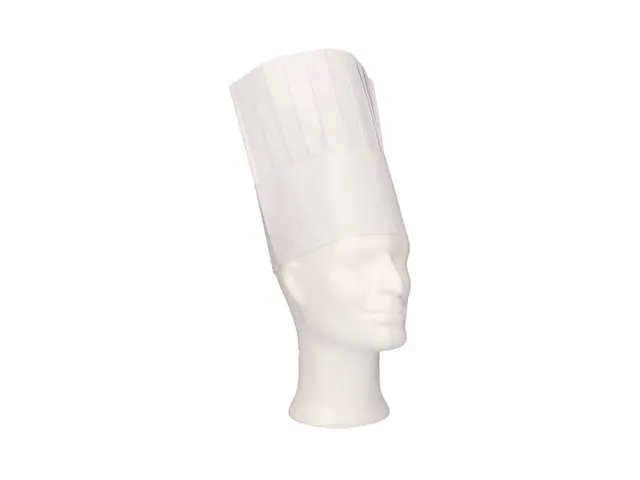 Toque Classic papier 25cm Blanc Couronne+Bande absorbante 250pcs