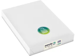 Evercolor gekleurd Gerecycleerd Papier A3 Ivoor