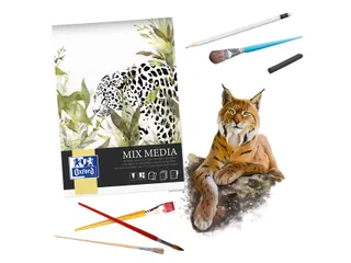 Tekenblok Oxford Mix Media A3 25 vel 225 gram - 3