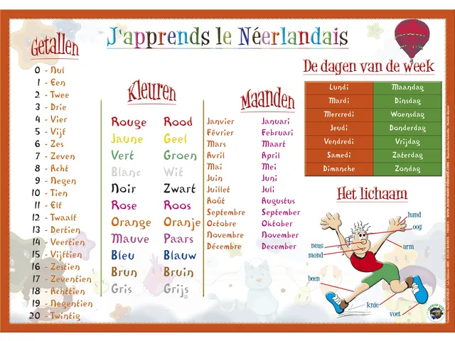 Sous-Mains Japprends le neerlandais FR42 x 30 cm