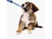 Lance-pilule + mortier/distributeur comprimés Pets Aid Only