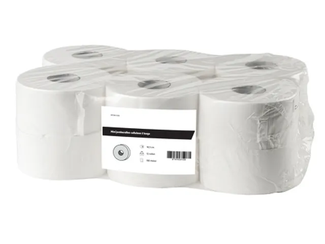 Toiletpapier Mini jumborollen cellulose 2-laags Wit FSC