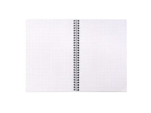 Notitieboek Pukka Jotta A5 ruit 5x5 55vel/110pagina's 80 gram groen