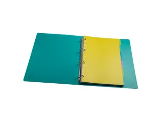 Tabbladen PP FOREVER YOUNG A4 6 tabs - 2