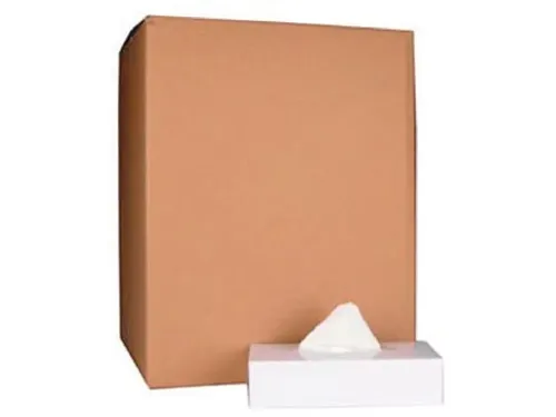 Papieren zakdoek 2-laags wit 100 tissues per doos, pak à 40 stuks
