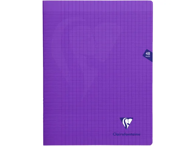 Clairefontaine schrift Mimesys A4+ 24 vel Seyès, kaft in PP assorti