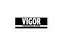 Vigor logo