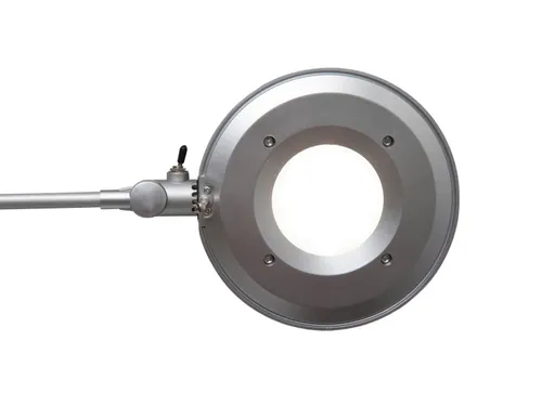 Bureaulamp LED MAULbusiness Zilver