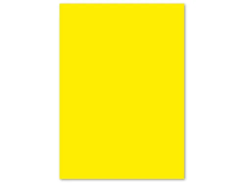 papier Kangaro A4 160 gram pak a 50 vel geel