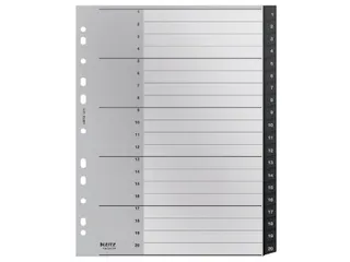 Tabblad Leitz Recycle A4 11-gaats 1-20 extra breed PP - 1
