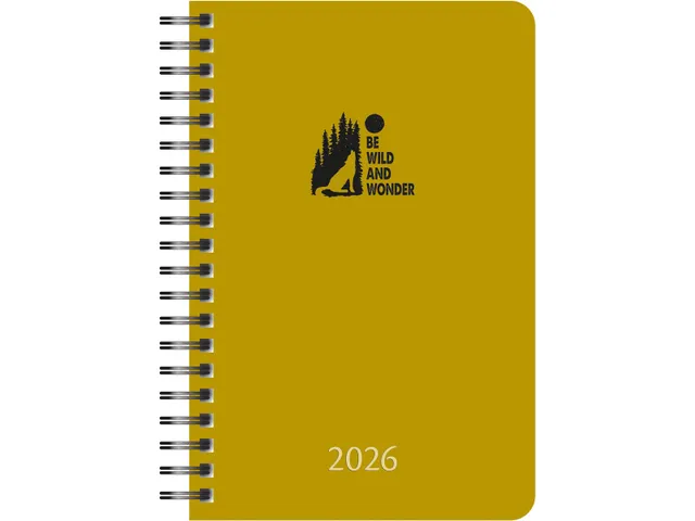 Daily 32W PP 500 micron color assorti 2026