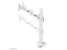 Neomounts FPMA-D935G Support à fixer pour écran simple 10-30 inch -