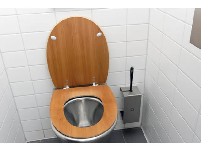 Rvs Toiletborstelhouder, Qtbh Ssl