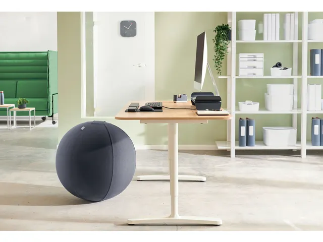Ballon d'assise Leitz Ergo anti-basculement 55cm gris foncé