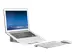 DESQ Aluminum Desktop Notebook Stand
