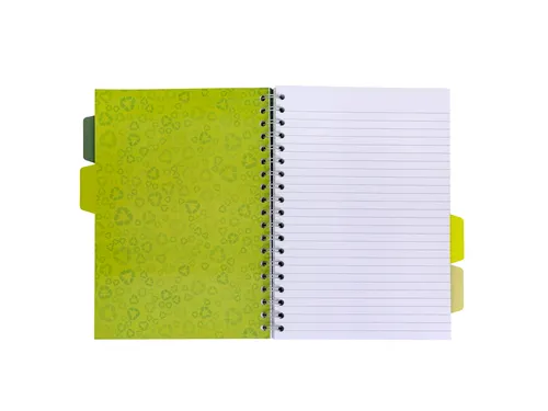 Projectboek Pukka Pad Recycled B5 lijn 4-tabs 200 pagina's 80gr groen