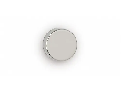 Neodymium magneet Ø12x5 mm 4kg 10 Stuks