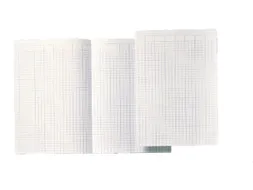Accountantspapier Folio A3607-95 14 Kolom 100vel