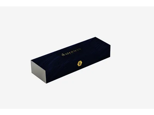 Vulpen Waterman Expert Stainless Steel CT Medium Blauwe inkt