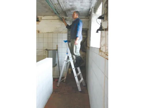Ladder Aluminium Bordes H 0 95M 4Treden Incl. Bordes