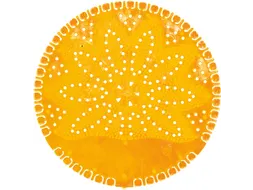 VividAir urinoirmat Summer Fruits oranje 12 stuks